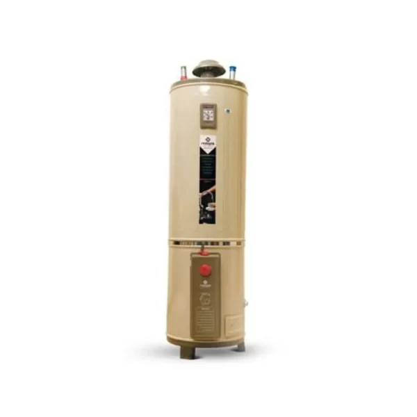 Nasgas DG-15 Water Heater Super Deluxe
